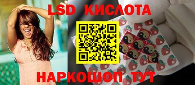 индика Малгобек